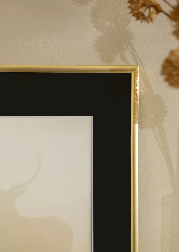 Ram med passepartou Frame New Lifestyle Gold 40x50 cm - Picture Mount Black 30x40 cm