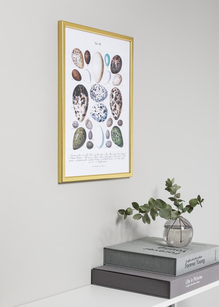 HHC Distribution Frame Slim Matt Anti-reflective glass Gold 21X29.7 cm (A4)