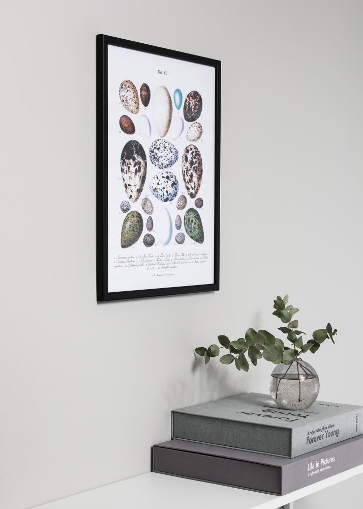 HHC Distribution Frame Slim Matt Anti-reflective glass Black 30x40 cm