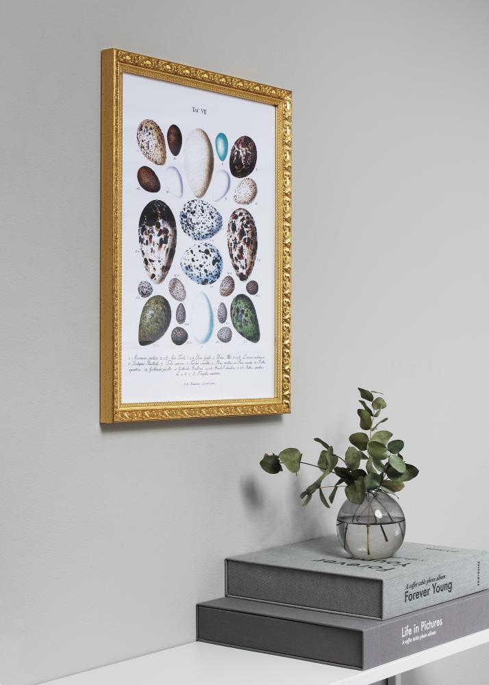 Bubola e Naibo Frame Smith Gold 35x50 cm