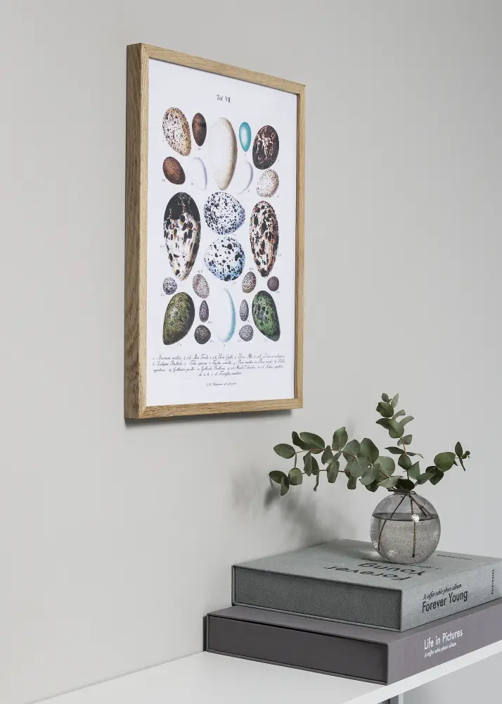 Focus Oak frame with acrylic glass 50x70 cm