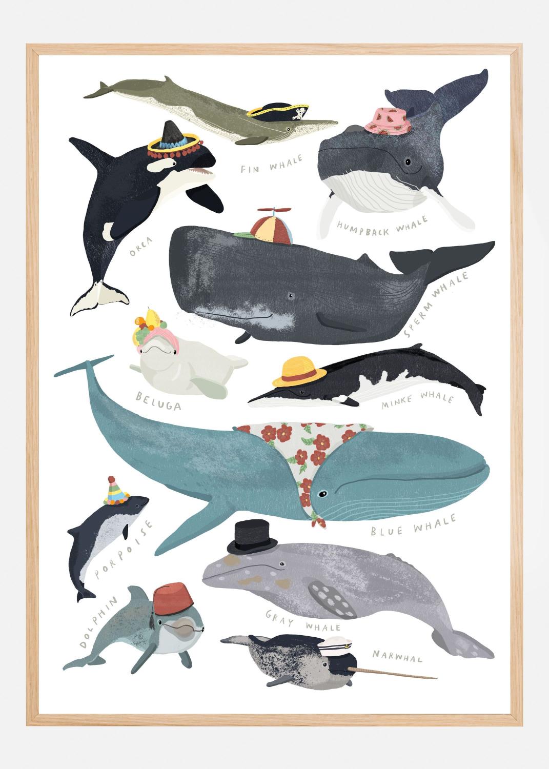 Product Image for Whales In Hats Poster (70x100 cm)