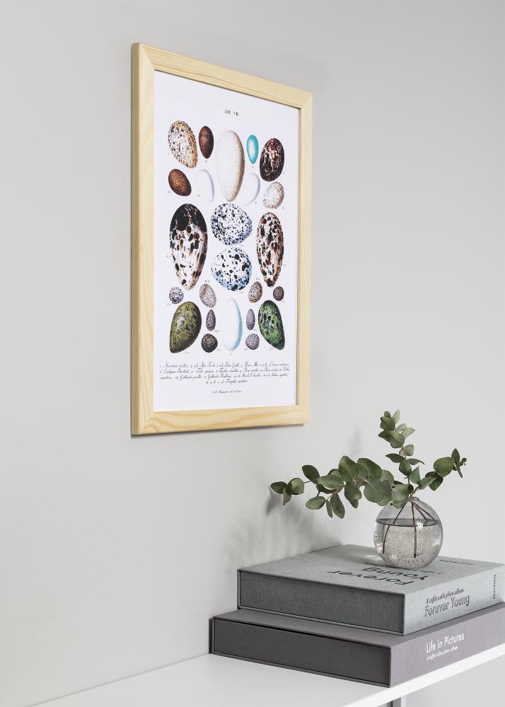 Artlink Frame Trendline Nature 35x50 cm