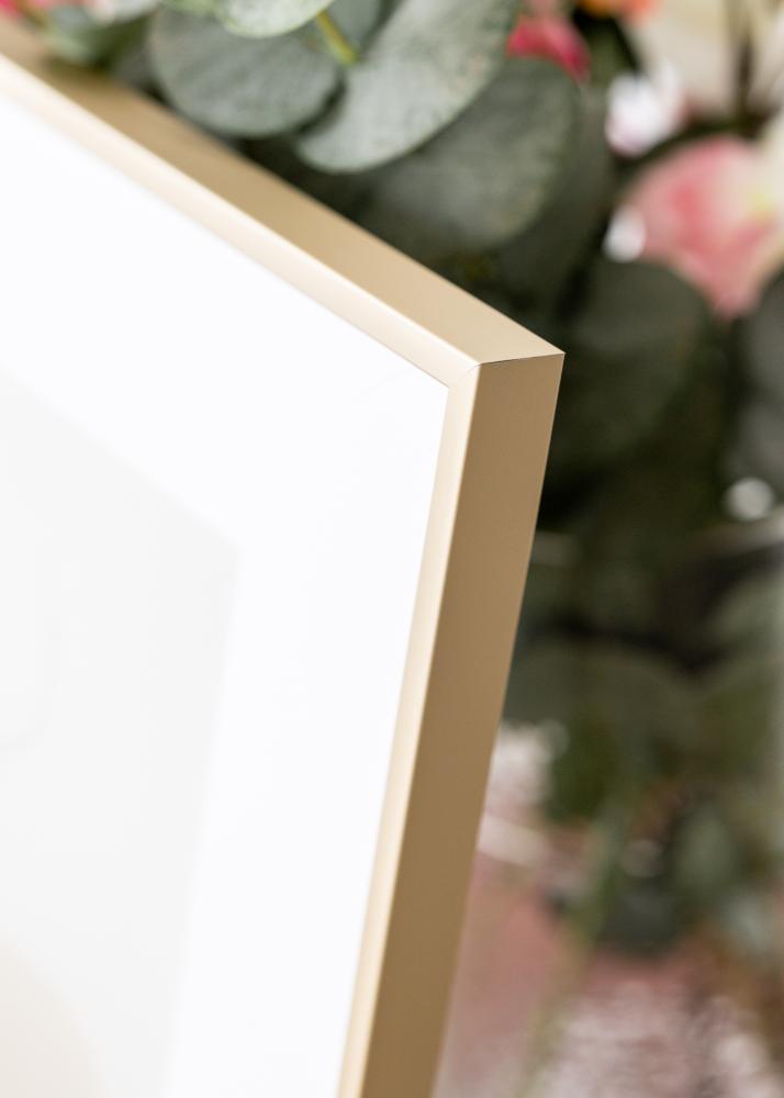 BGA Aluminium Frame Acrylic Glass Brass 42x59.4 cm (A2)