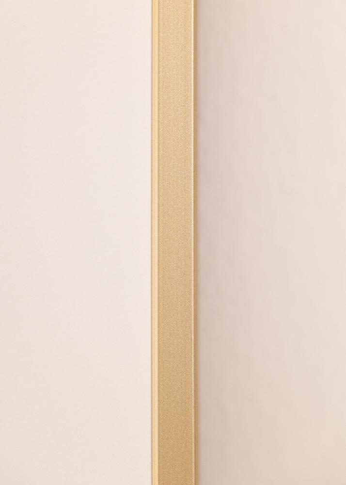 BGA Aluminium Frame Acrylic Glass Brass 42x59.4 cm (A2)