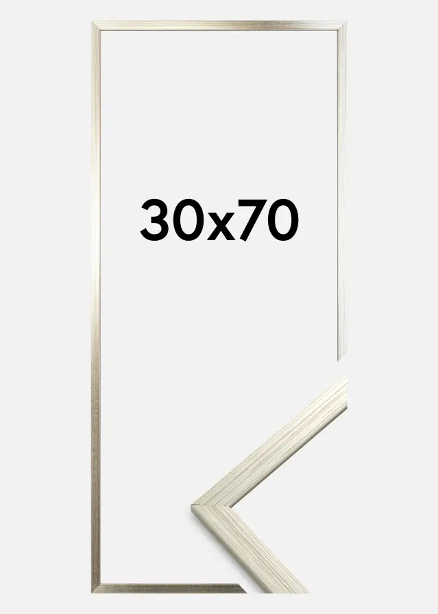 Galleri 1 Frame Edsbyn Silver 30x70 cm
