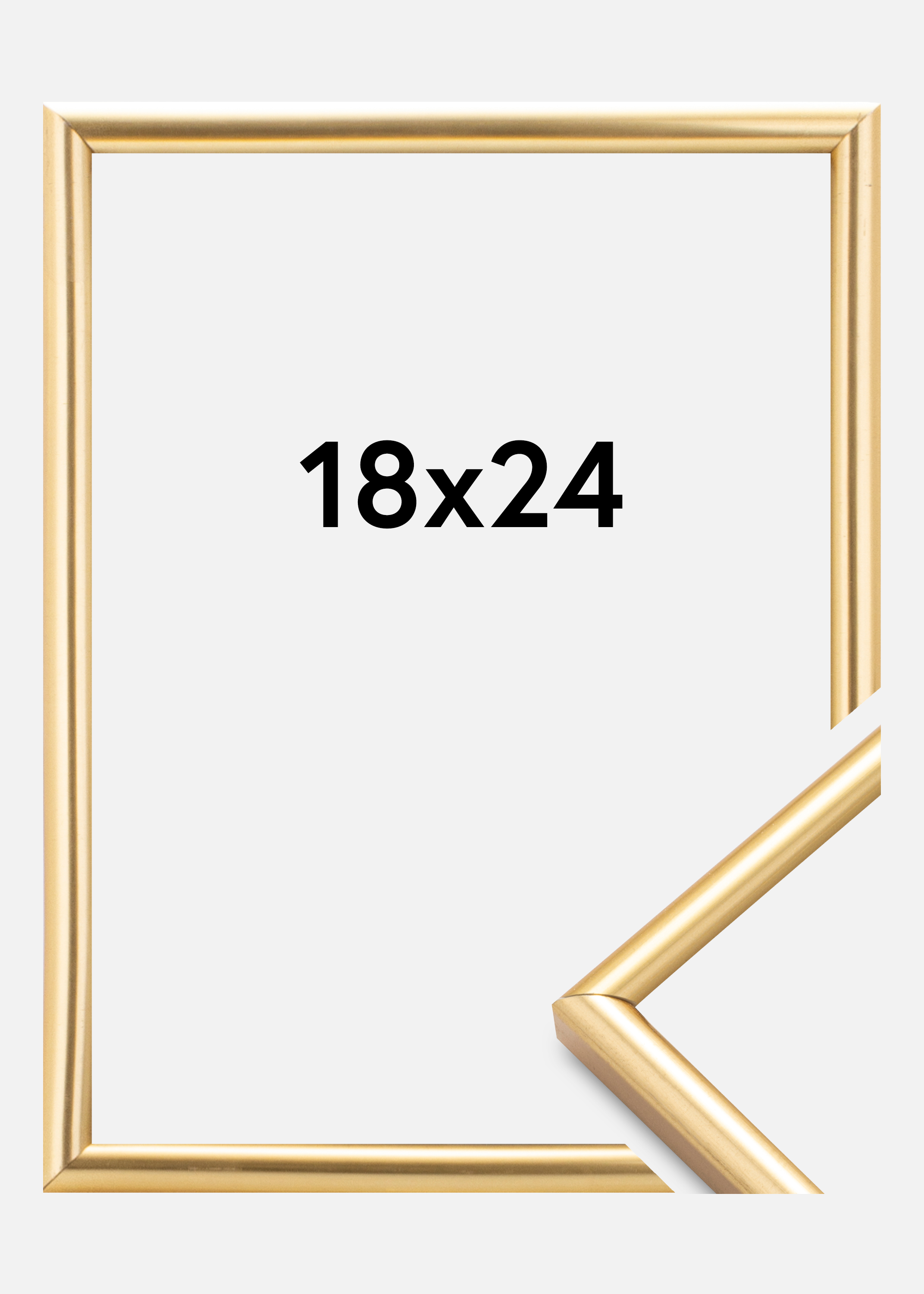Frame Decoline Gold 18x24 cm