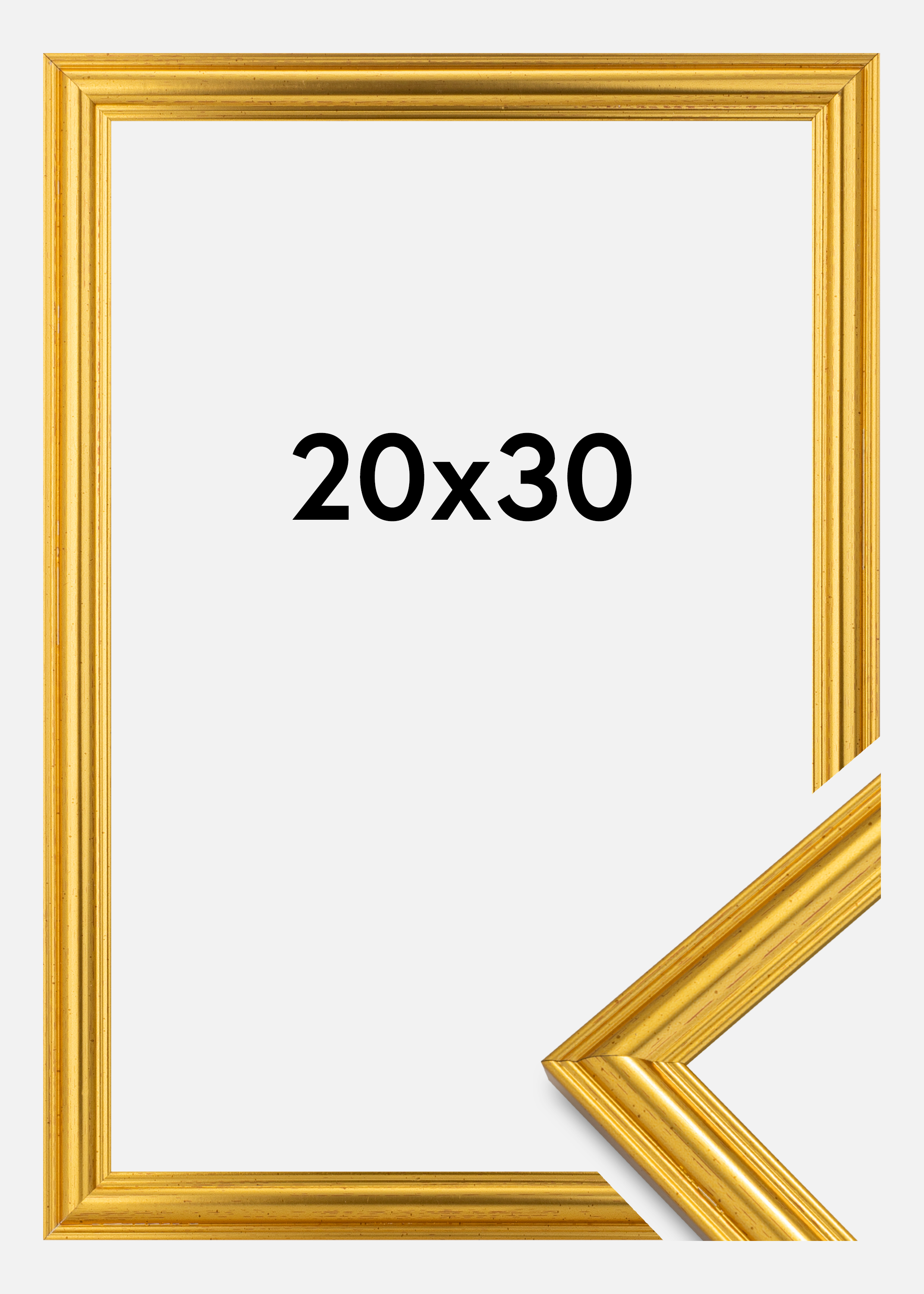 Frame Frigg Gold 20x30 cm