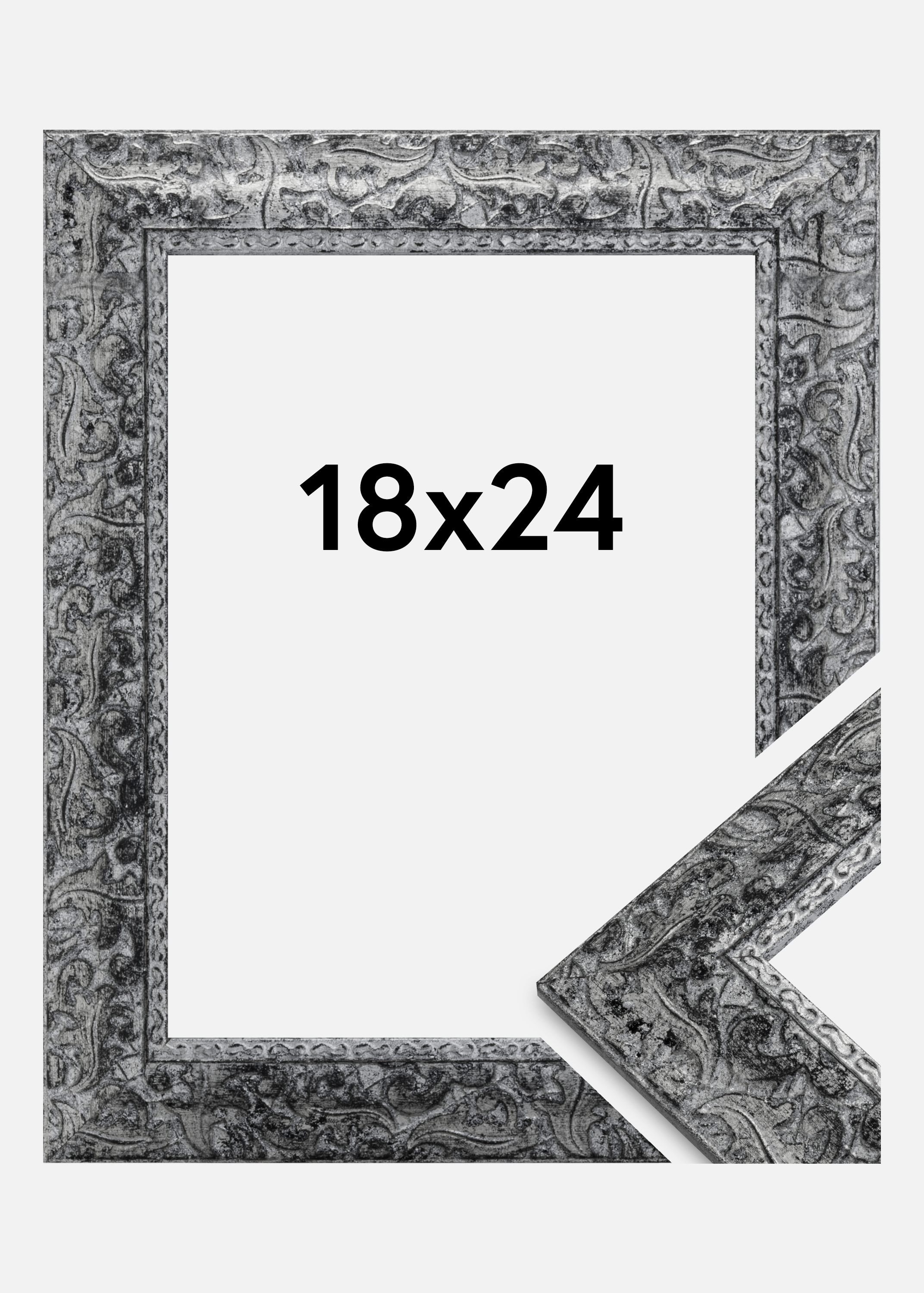 Frame Ralph Silver 18x24 cm