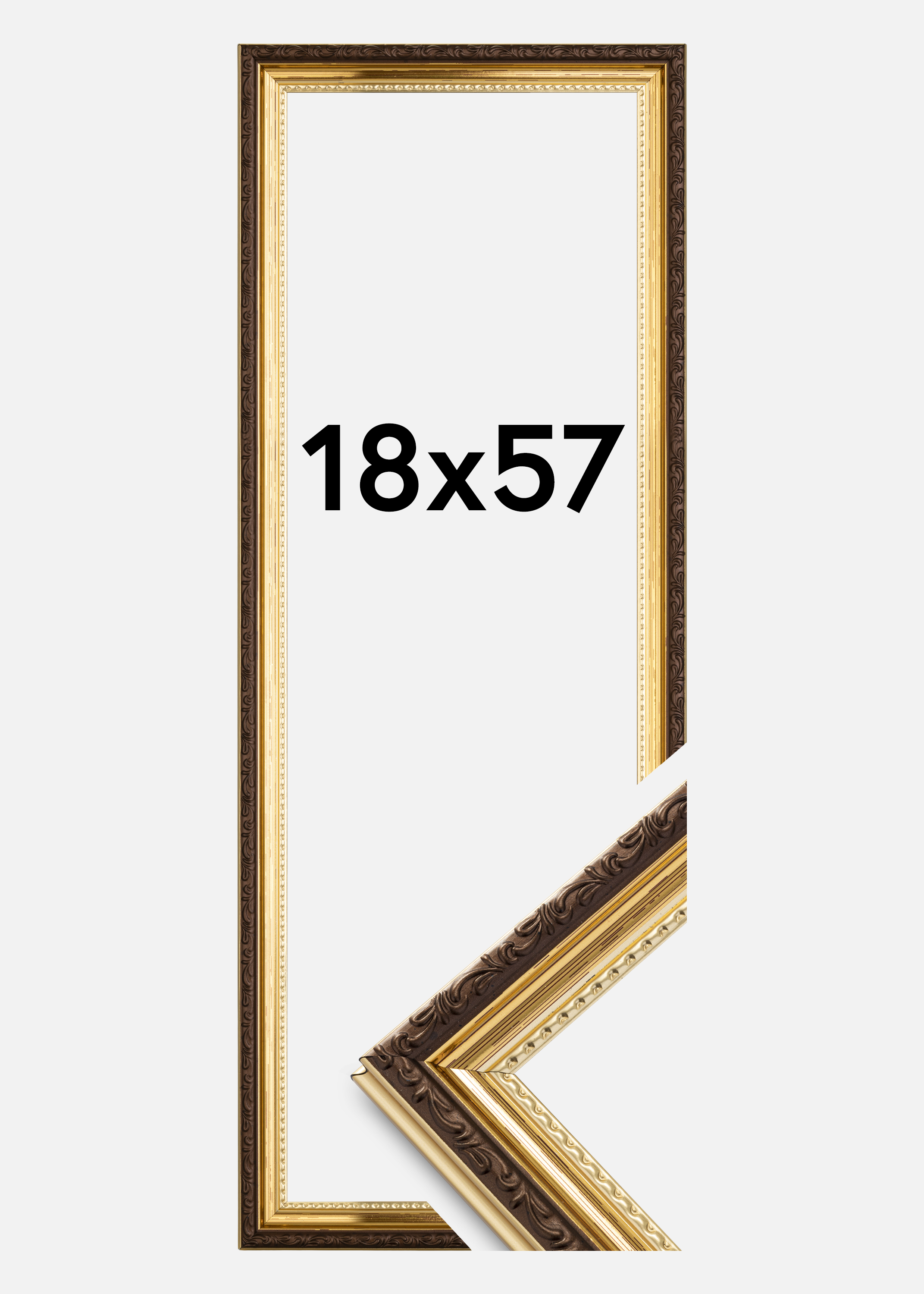 Frame Abisko Gold 18x57 cm