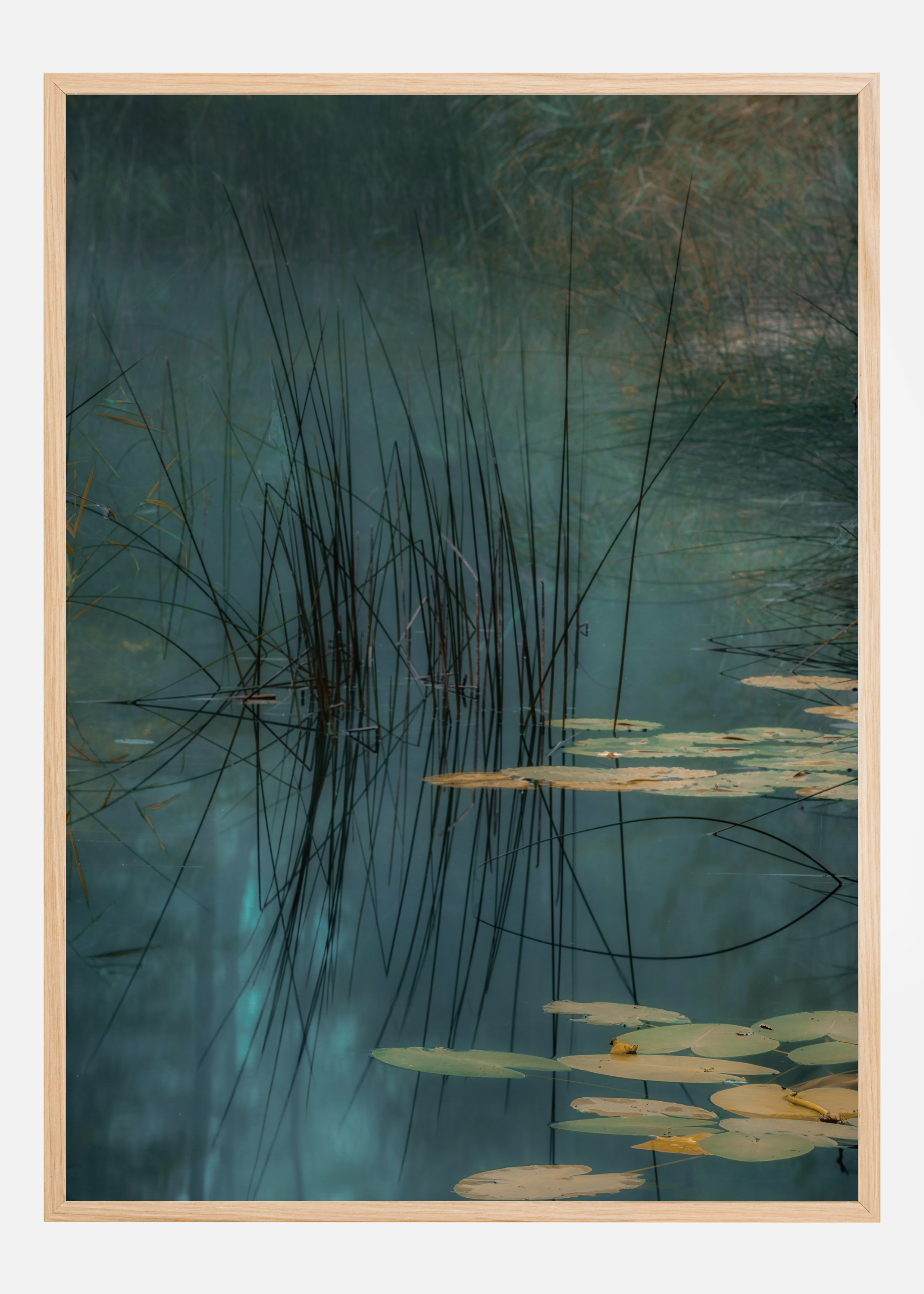Aqua Poster (70x100 cm)