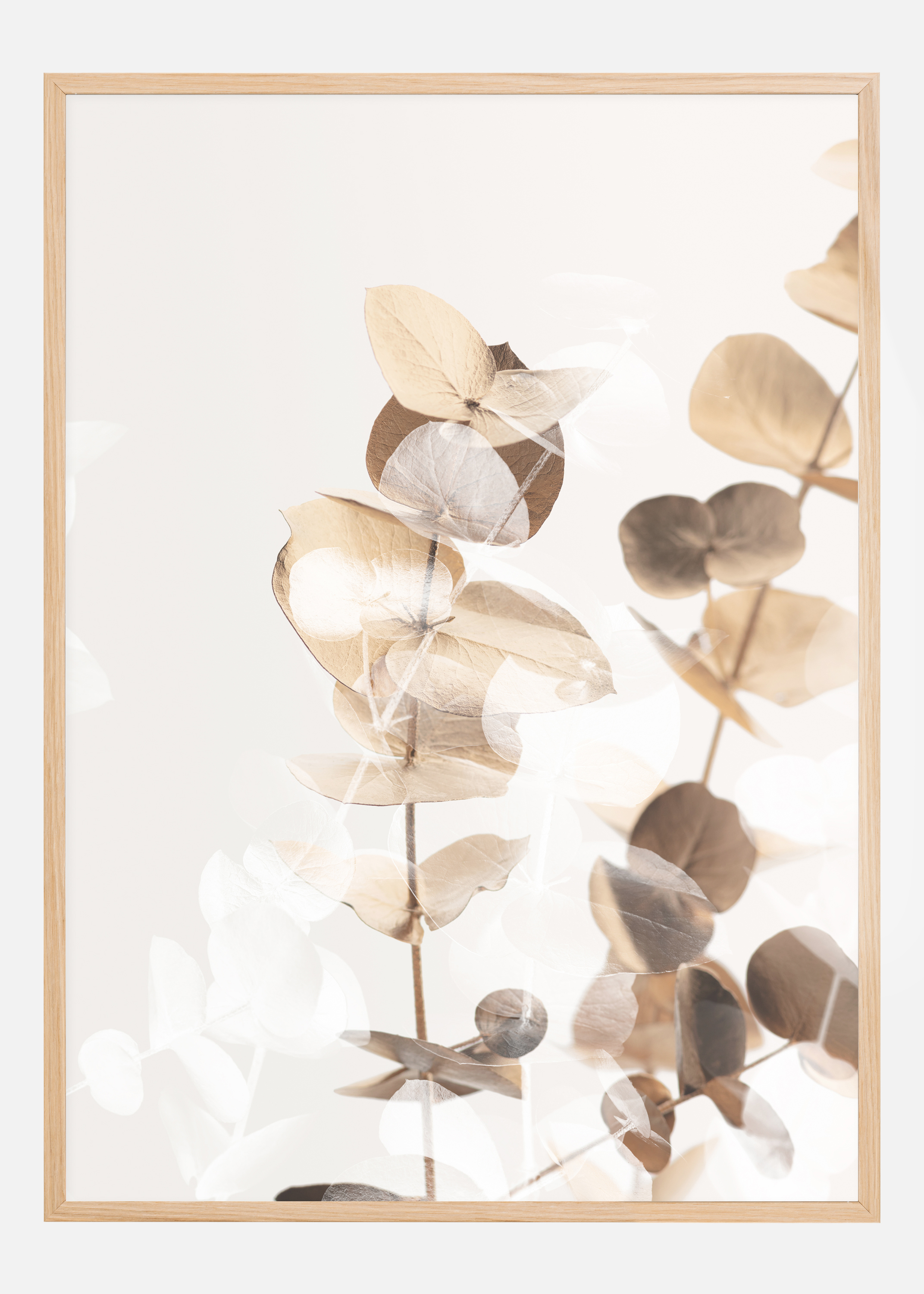 Eucalyptus Creative Gold I Poster (30x40 cm)