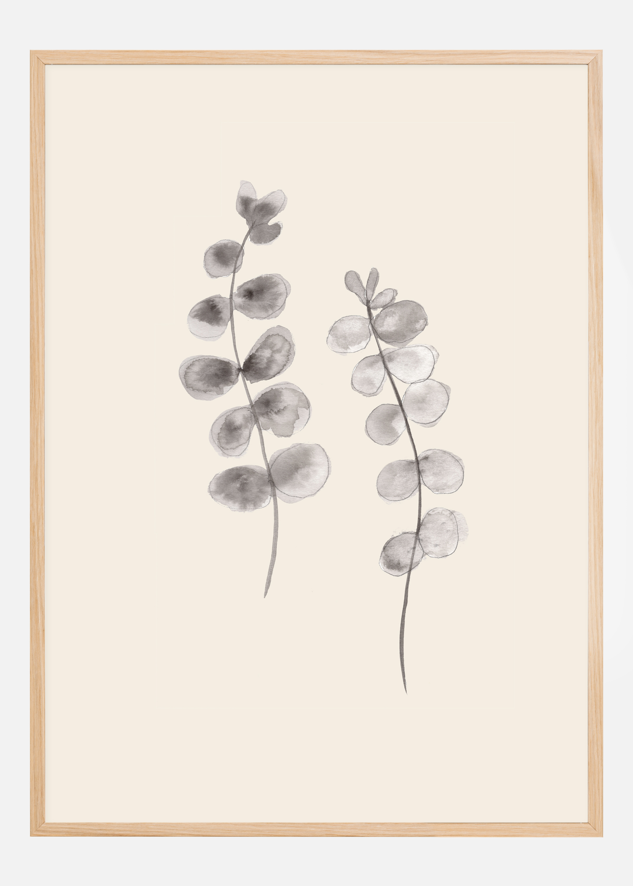 Eucalyptus Twigs Poster (30x40 cm)