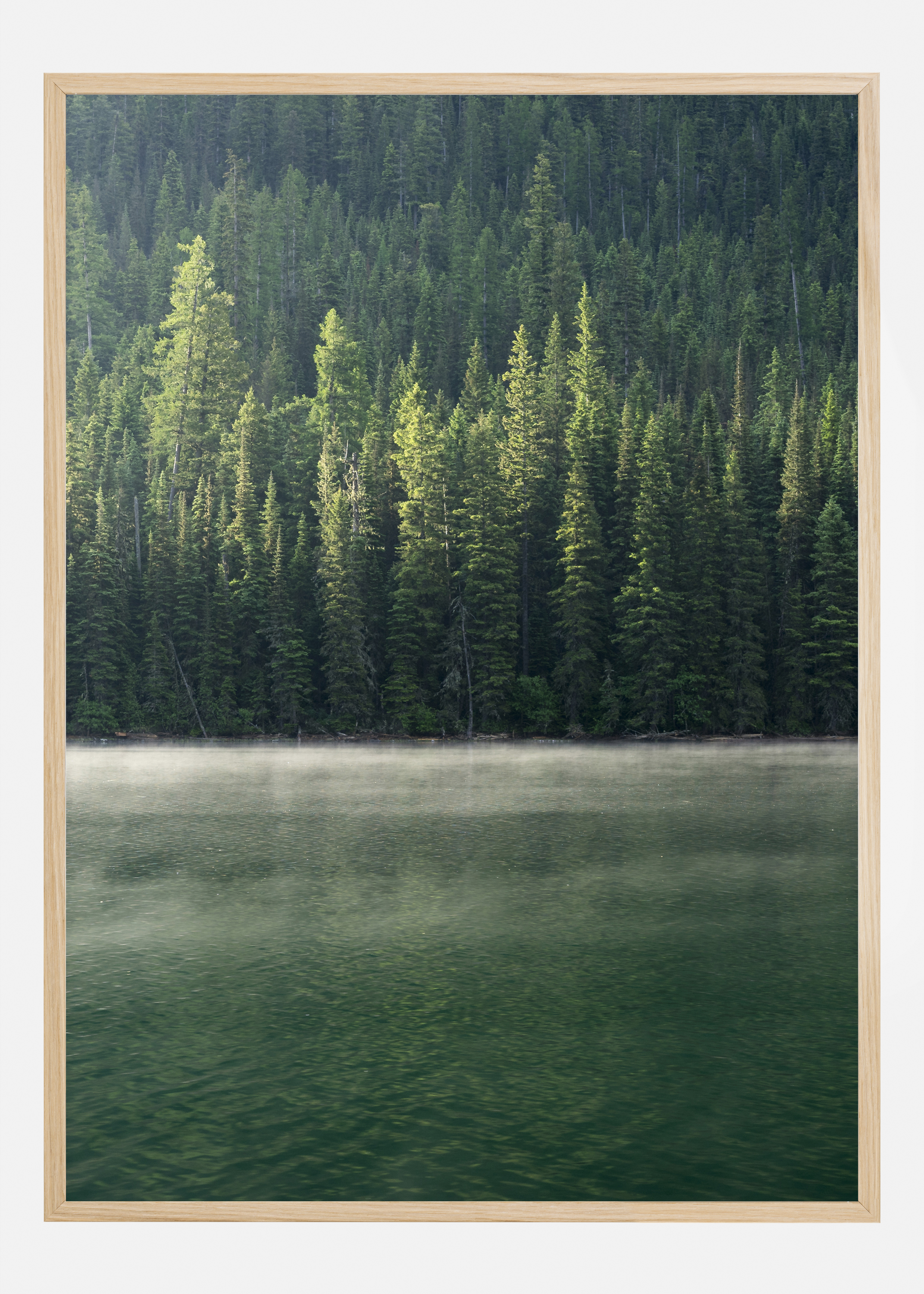 Green Forest Poster (30x40 cm)