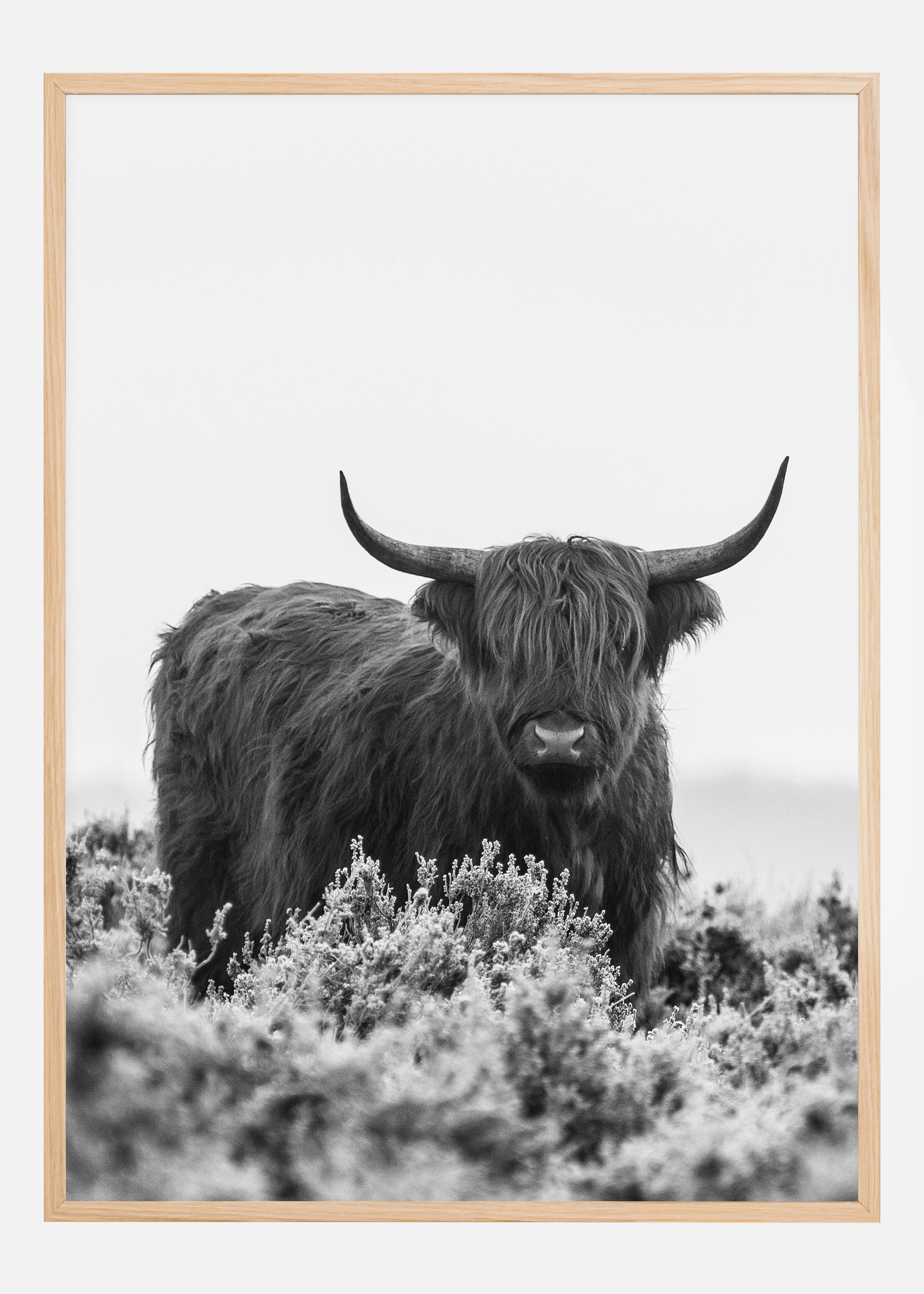 Highlander BW Poster (50x70 cm)