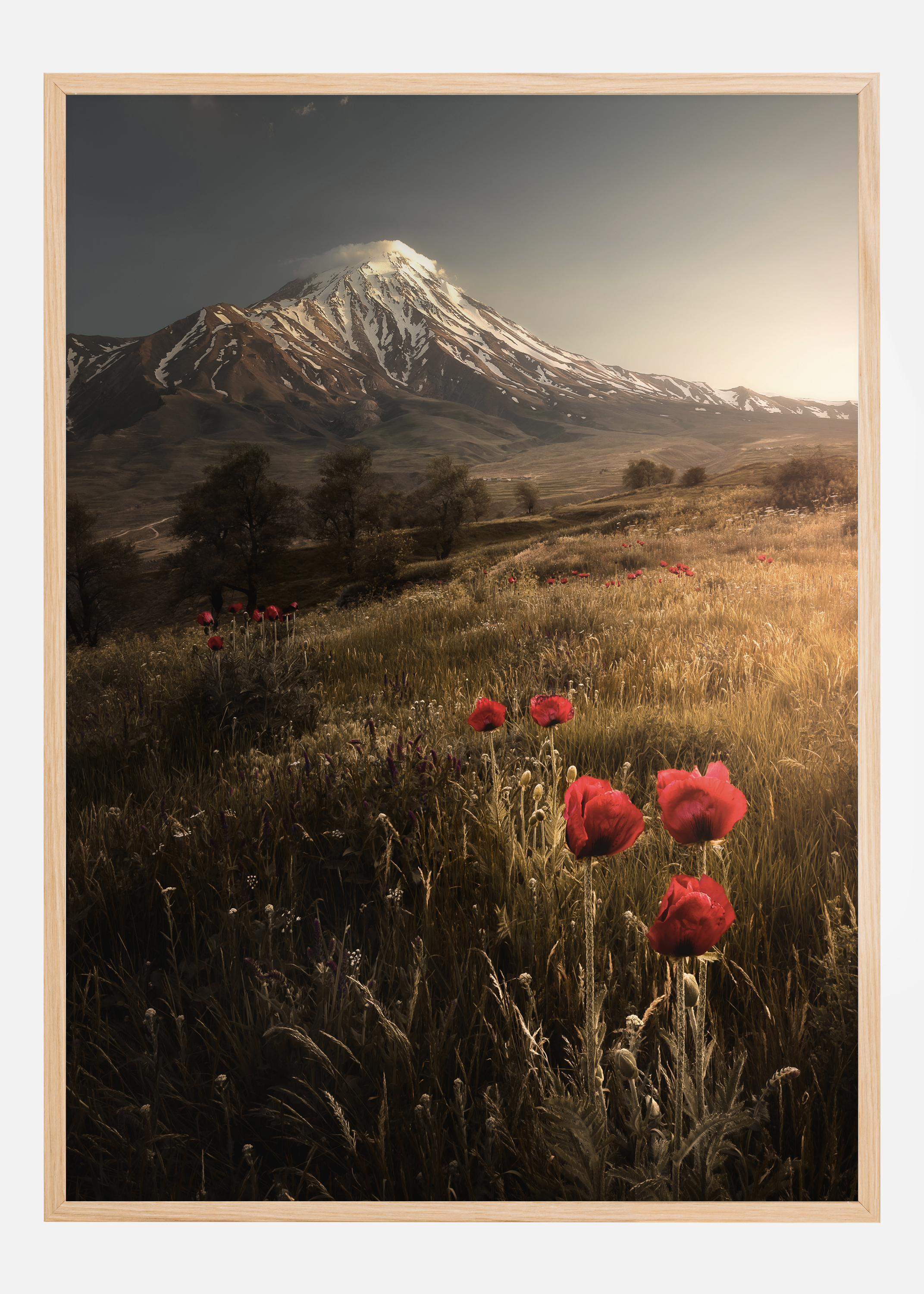 Life Is Beautiful Poster (70x100 cm)