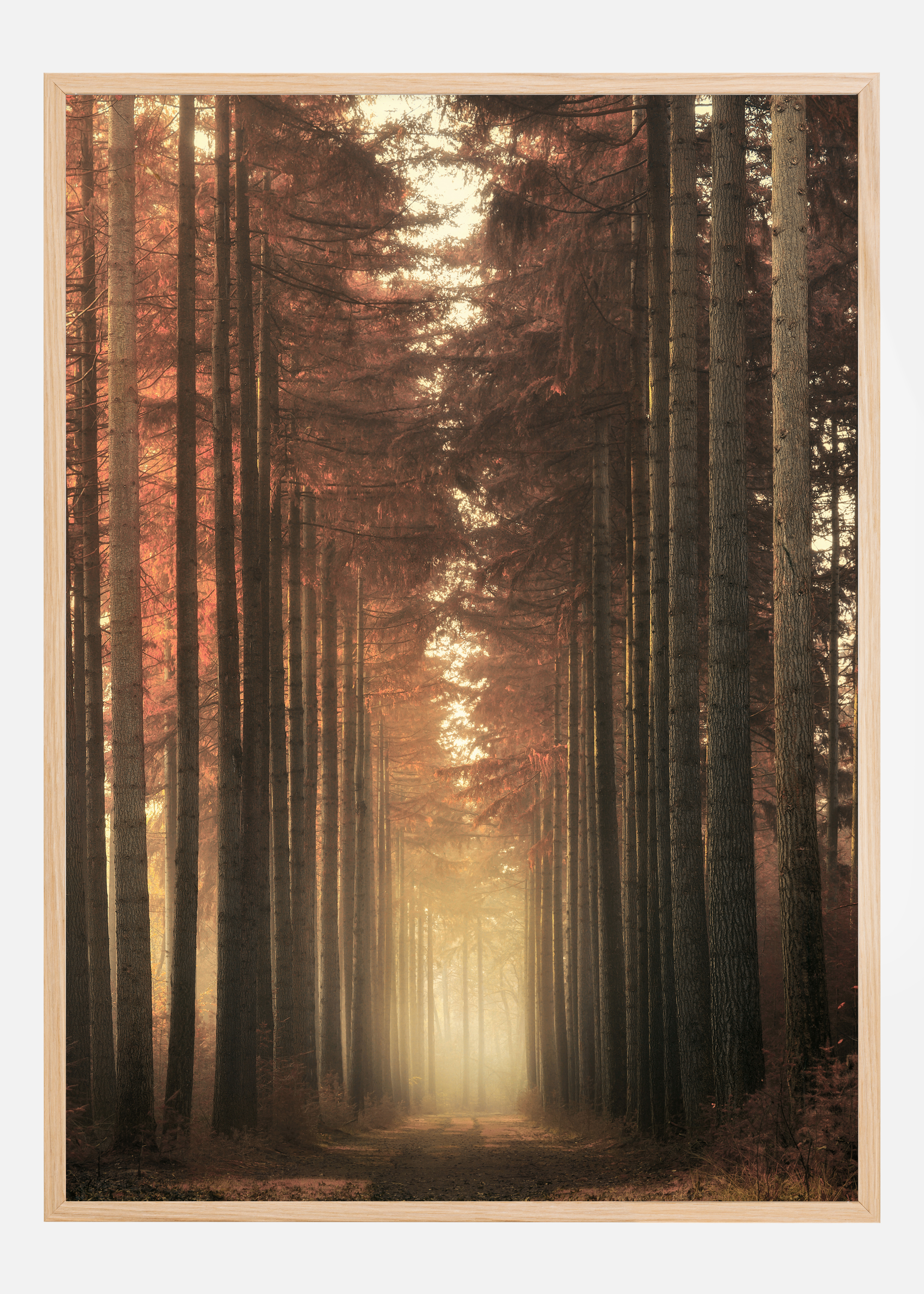 Light Burning Poster (50x70 cm)