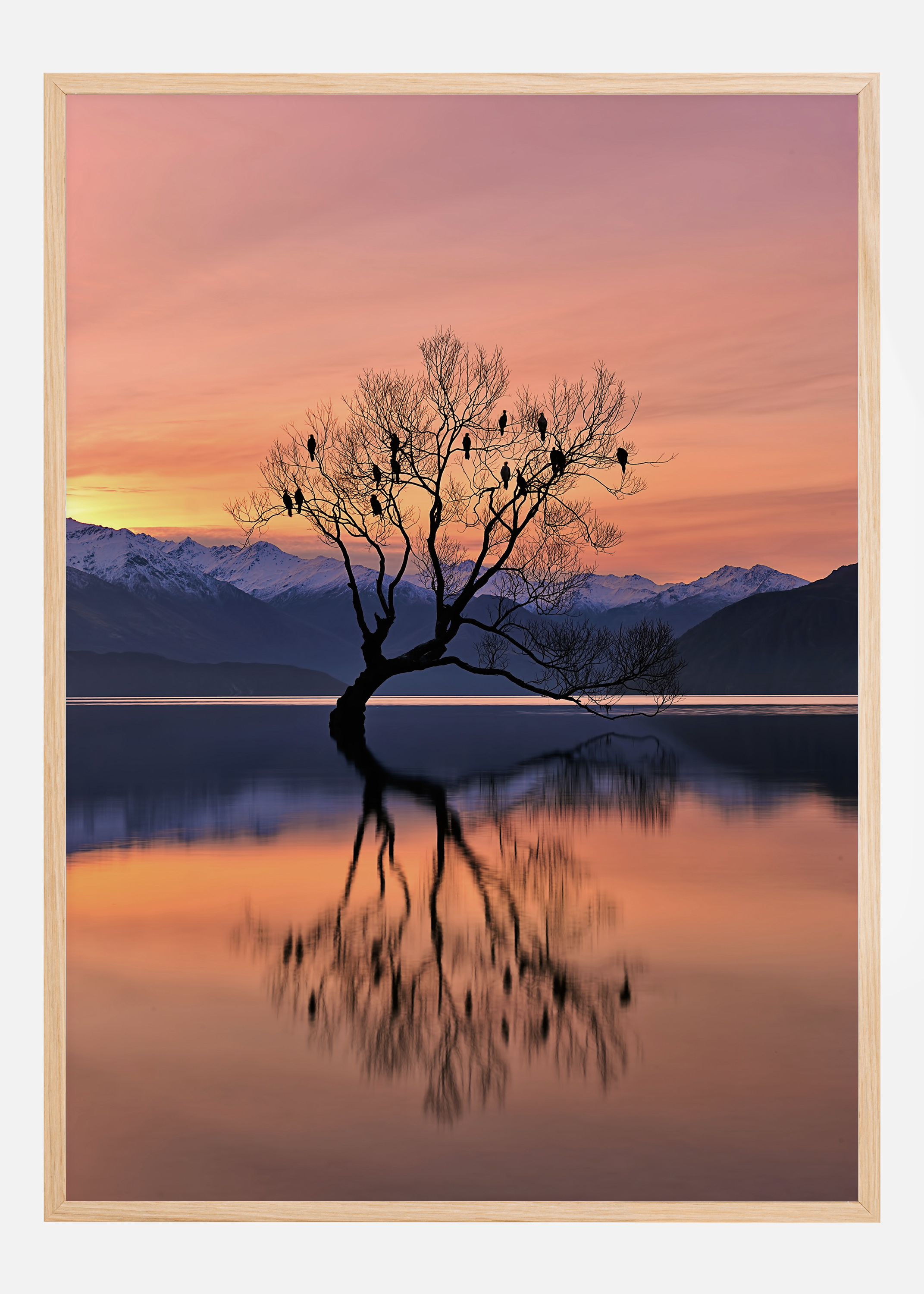 Lone Tree Is Not Lonely Poster (50x70 cm)