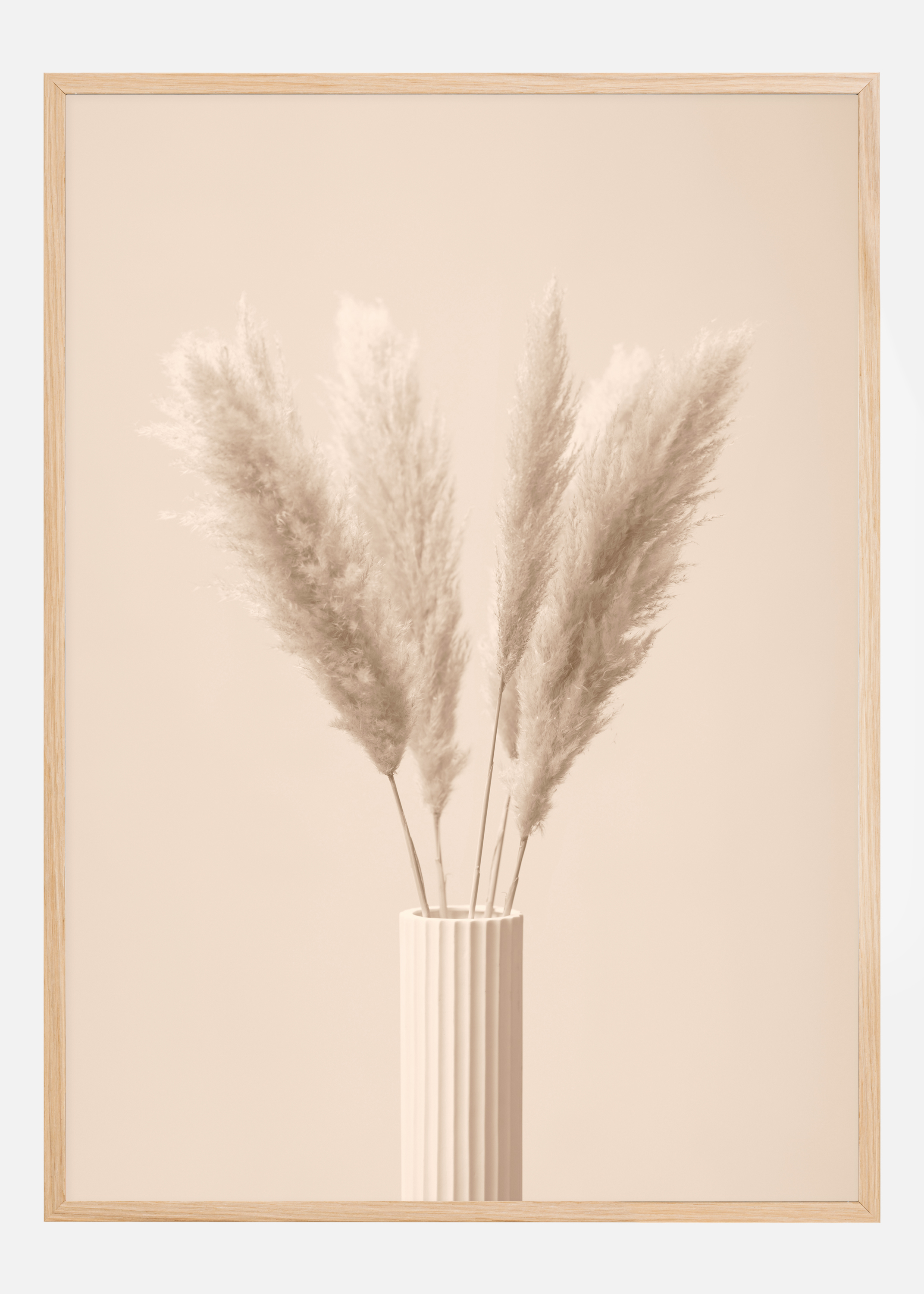 Pampas Grass III Poster (21x29.7 cm (A4))