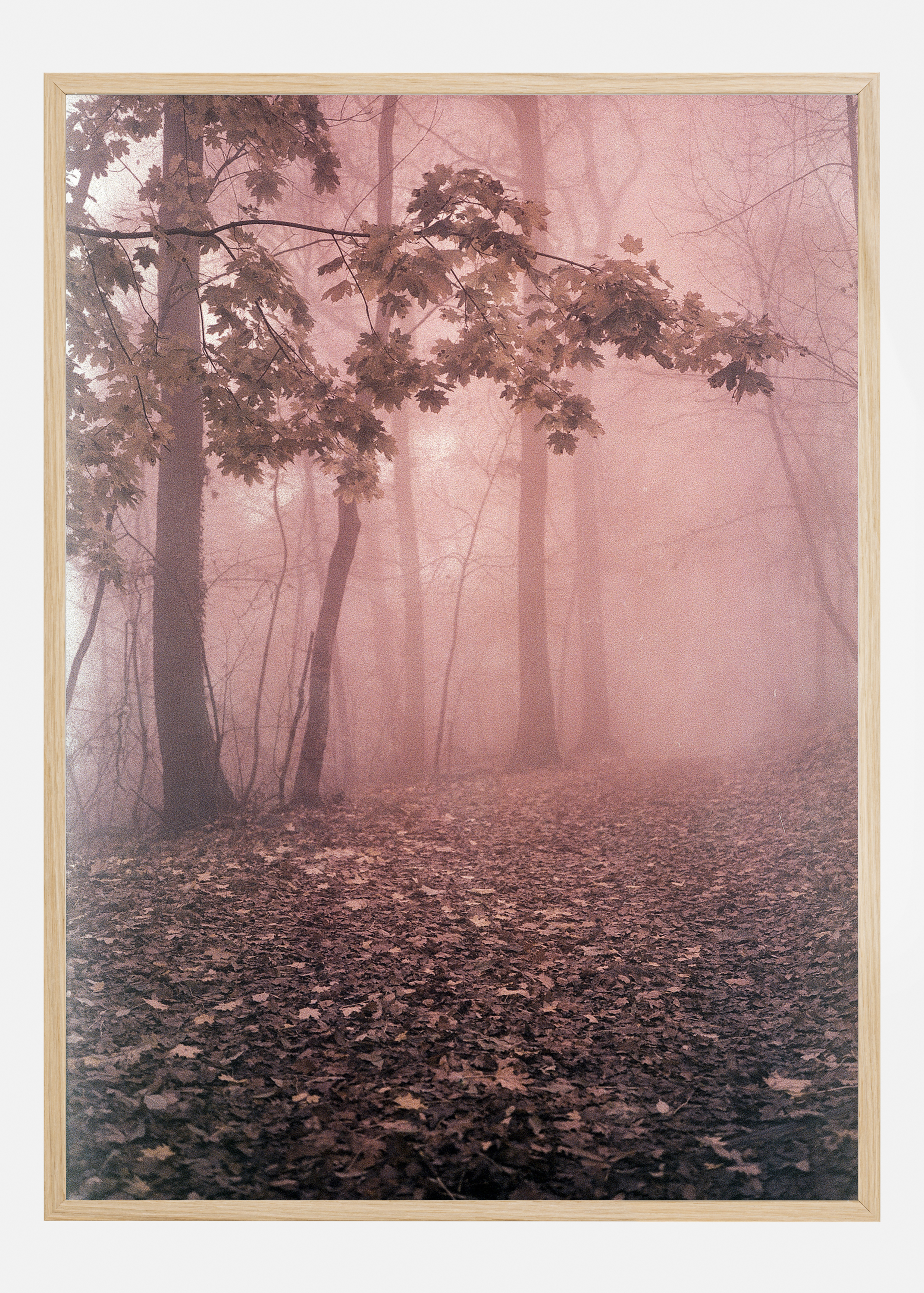 Pink Forrest Poster (30x40 cm)