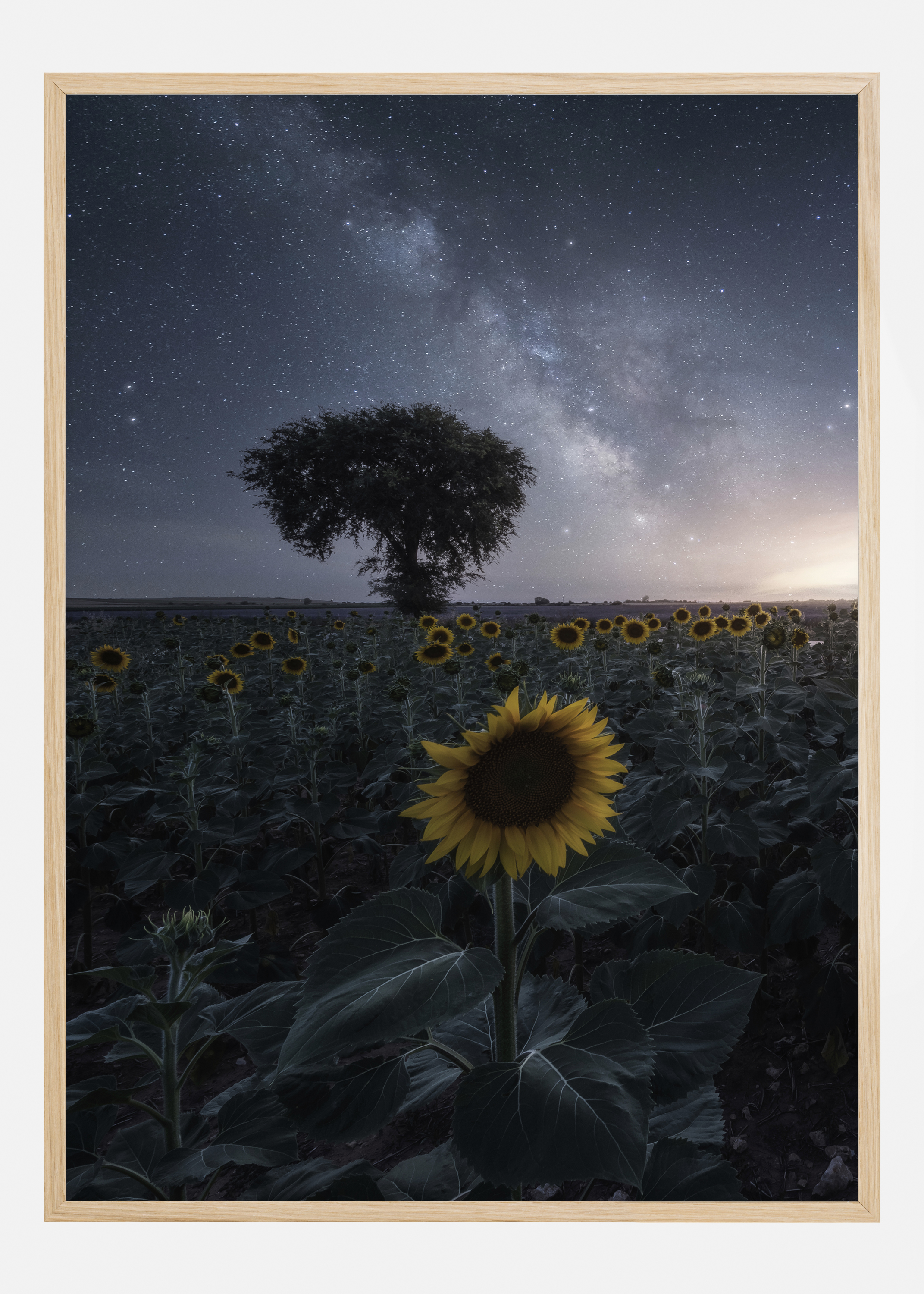 Starsflowers Poster (21x29.7 cm (A4))