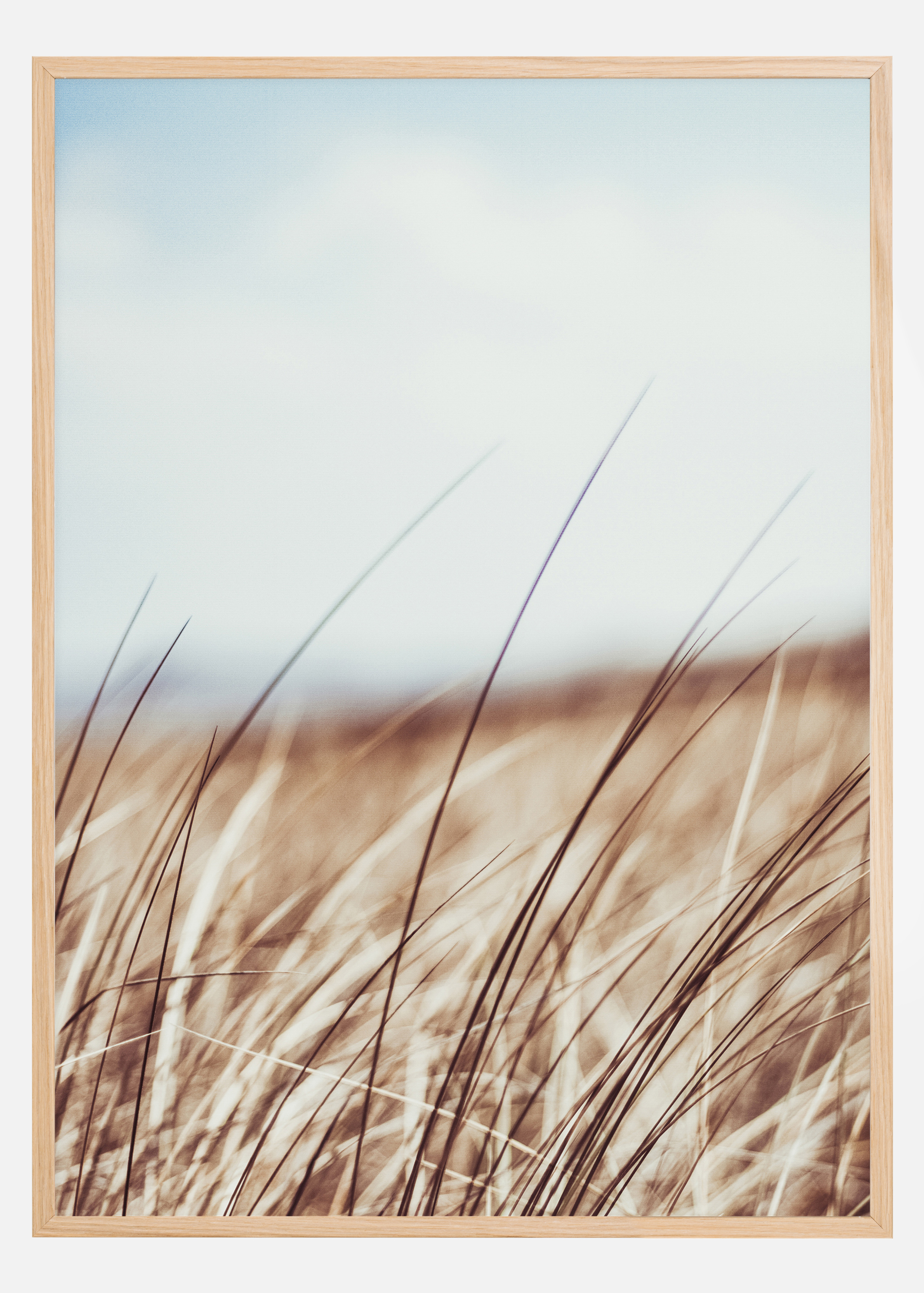 Dreamy Grass Poster (40x50 cm)