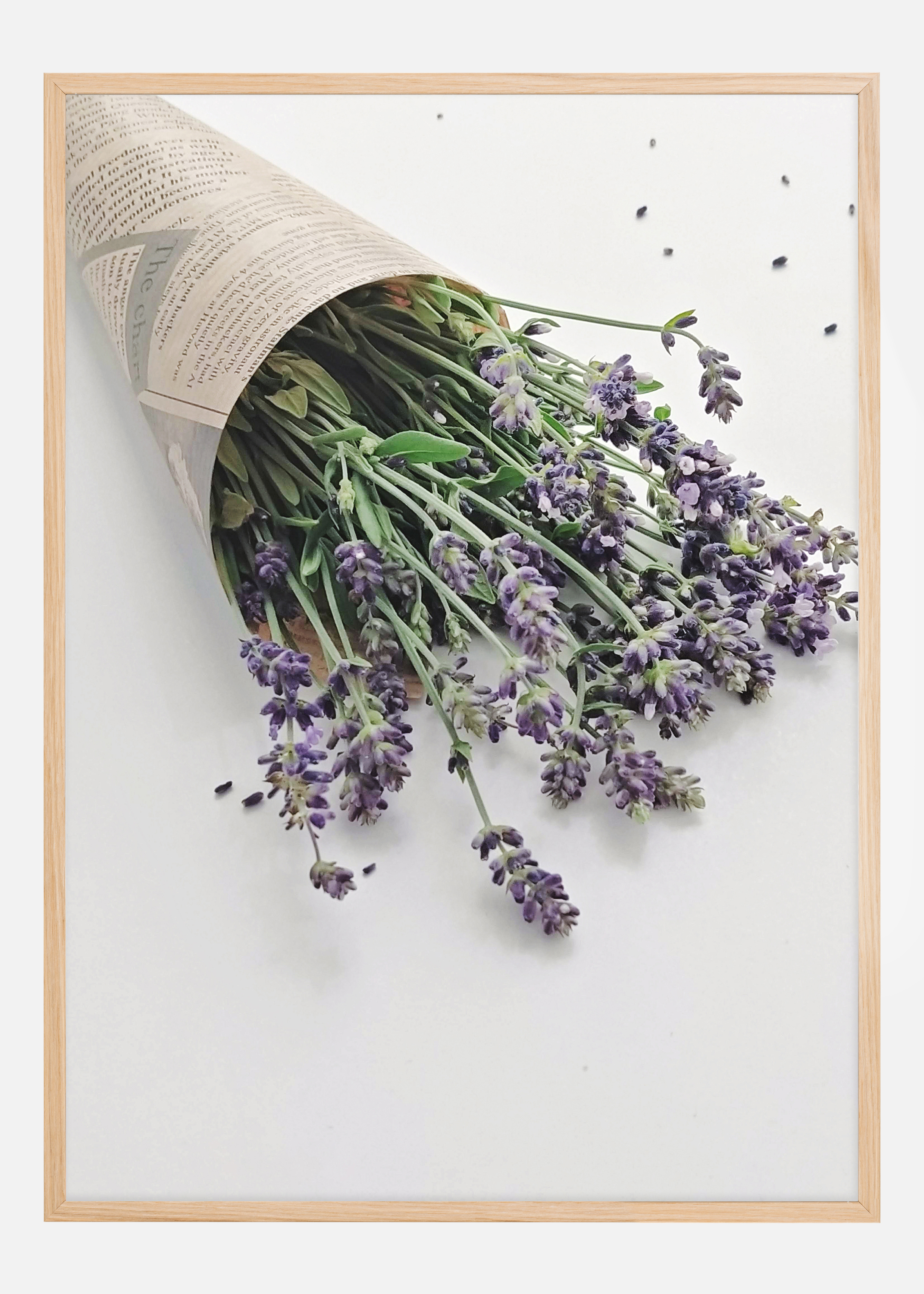 Lavender Poster (50x70 cm)