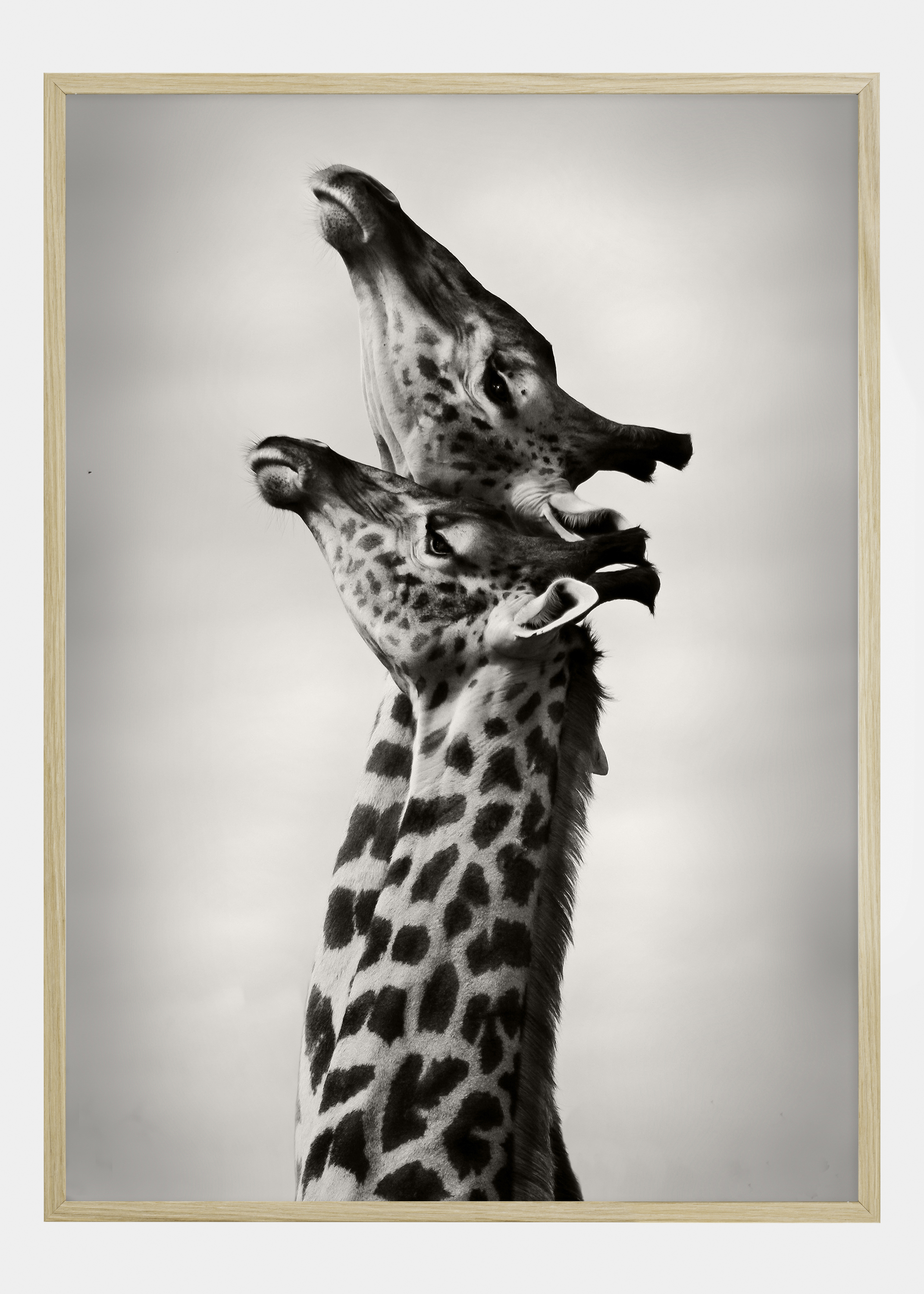 True Love Poster (21x29.7 cm (A4))